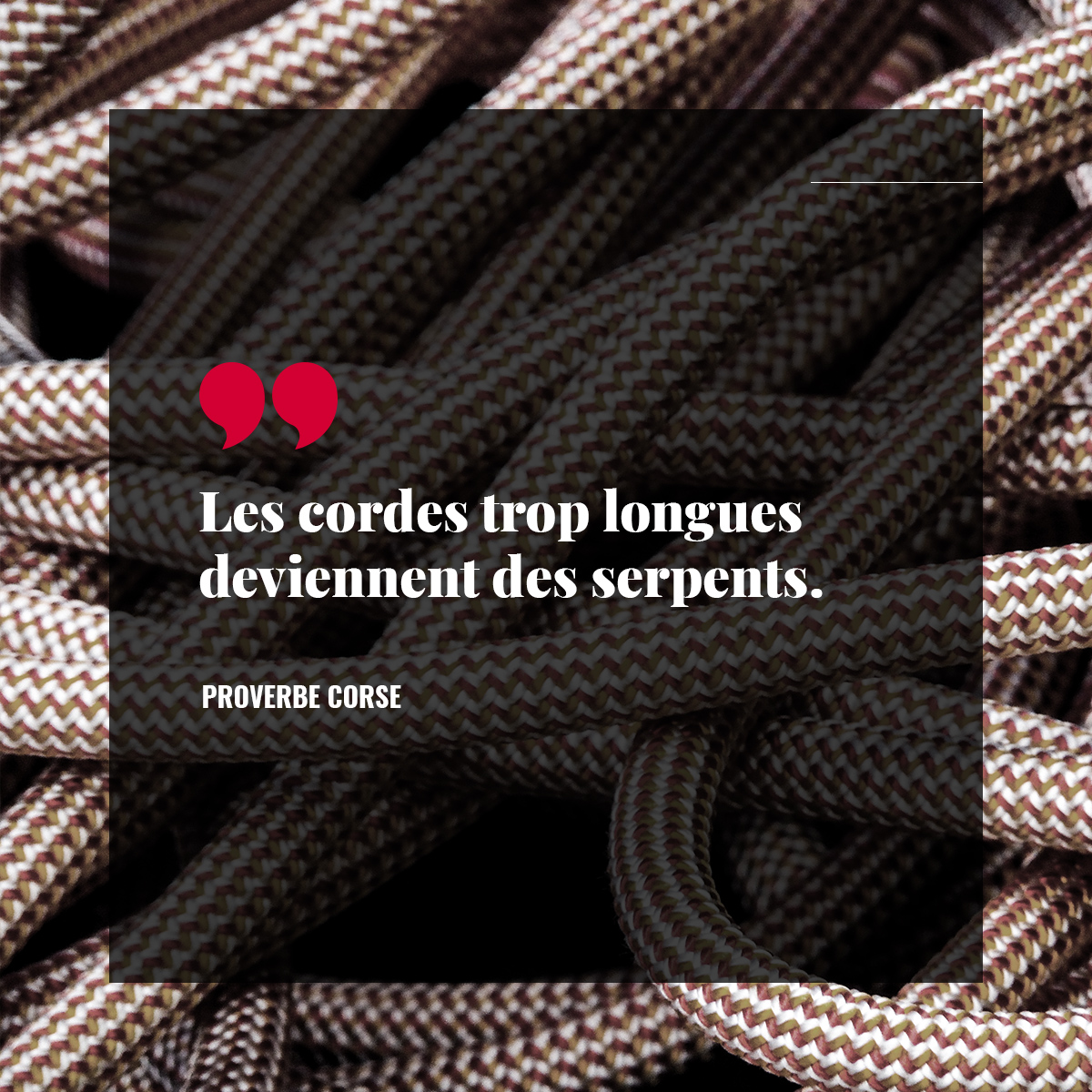 Les cordes trop longues deviennent des serpents.